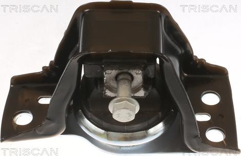 Triscan 8505 25113 - Подушка, підвіска двигуна autocars.com.ua