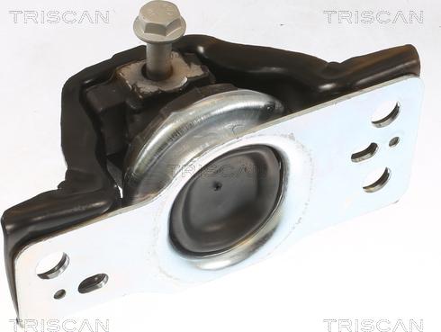 Triscan 8505 25113 - Подушка, підвіска двигуна autocars.com.ua