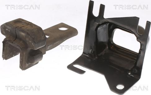 Triscan 8505 25117 - Подушка, підвіска двигуна autocars.com.ua