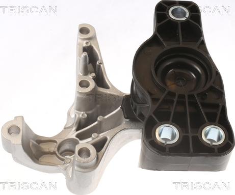 Triscan 8505 25121 - Подушка, підвіска двигуна autocars.com.ua