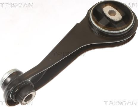 Triscan 8505 25125 - Подушка, підвіска двигуна autocars.com.ua