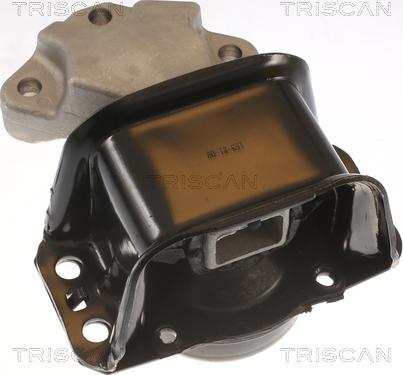 Triscan 8505 28100 - Подушка, підвіска двигуна autocars.com.ua