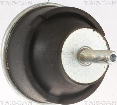Triscan 8505 28106 - Подушка, підвіска двигуна autocars.com.ua