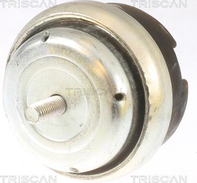 Triscan 8505 28107 - Подушка, підвіска двигуна autocars.com.ua