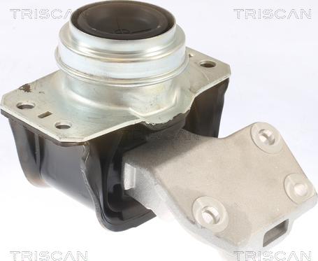 Triscan 8505 28112 - Подушка, підвіска двигуна autocars.com.ua