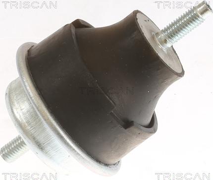 Triscan 8505 28113 - Подушка, підвіска двигуна autocars.com.ua