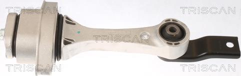 Triscan 8505 29100 - Подушка, підвіска двигуна autocars.com.ua