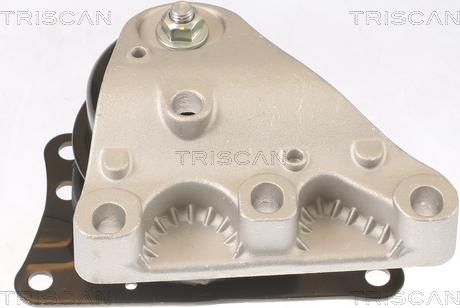 Triscan 8505 29110 - Подушка, підвіска двигуна autocars.com.ua