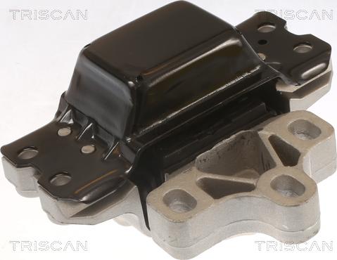 Triscan 8505 29116 - Подушка, опора, подвеска двигателя autodnr.net