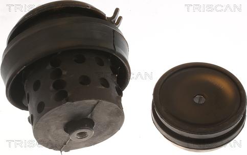 Triscan 8505 29118 - Подушка, підвіска двигуна autocars.com.ua