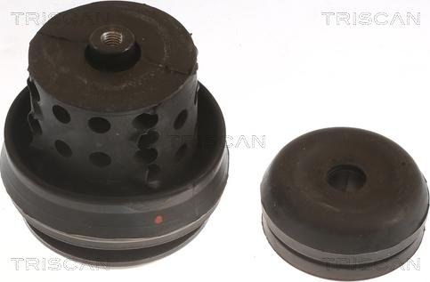 Triscan 8505 29118 - Подушка, підвіска двигуна autocars.com.ua