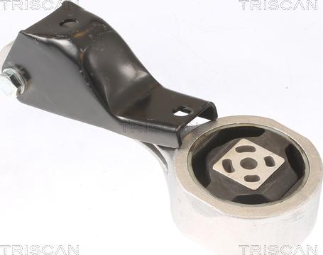 Triscan 8505 29120 - Подушка, опора, подвеска двигателя autodnr.net