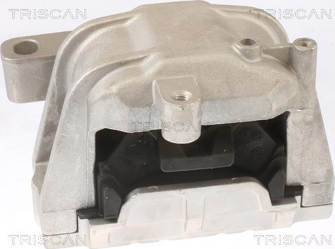 Triscan 8505 29124 - Подушка, підвіска двигуна autocars.com.ua