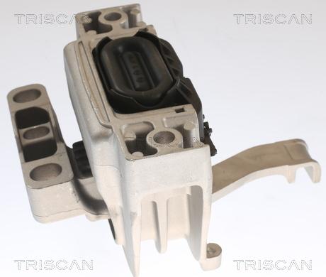Triscan 8505 29129 - Подушка, підвіска двигуна autocars.com.ua