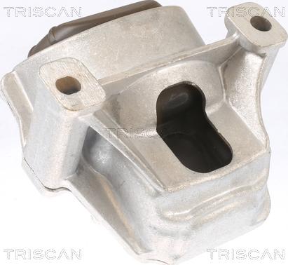 Triscan 8505 29130 - Подушка, підвіска двигуна autocars.com.ua