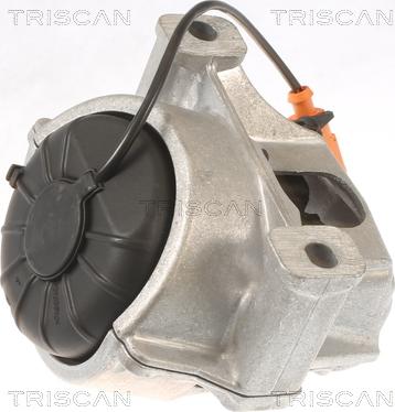 Triscan 8505 29133 - Подушка, підвіска двигуна autocars.com.ua