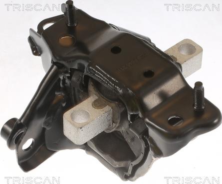 Triscan 8505 29139 - Подушка, опора, подвеска двигателя autodnr.net