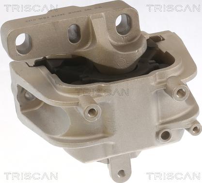 Triscan 8505 29143 - Подушка, підвіска двигуна autocars.com.ua