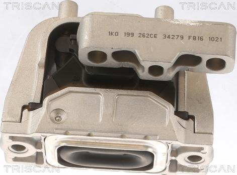 Triscan 8505 29145 - Подушка, підвіска двигуна autocars.com.ua