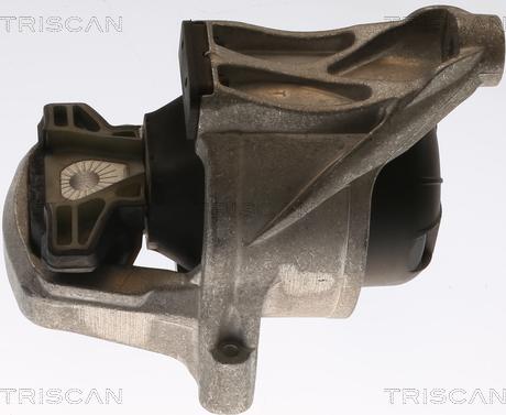 Triscan 8505 29168 - Подушка, підвіска двигуна autocars.com.ua