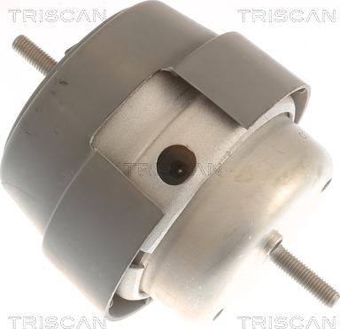 Triscan 8505 29169 - Подушка, підвіска двигуна autocars.com.ua