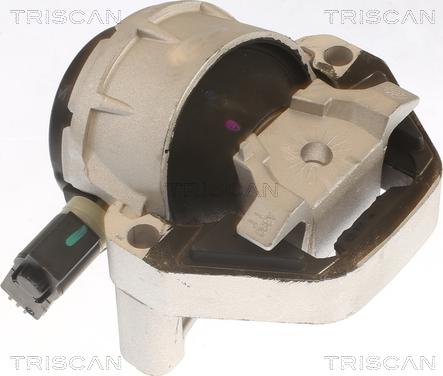 Triscan 8505 29170 - Подушка, підвіска двигуна autocars.com.ua