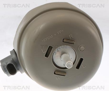 Triscan 8505 29174 - Подушка, підвіска двигуна autocars.com.ua