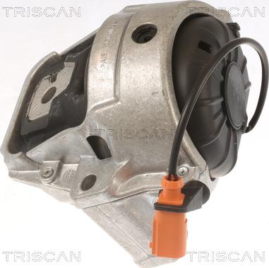 Triscan 8505 29178 - Подушка, підвіска двигуна autocars.com.ua