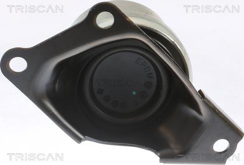 Triscan 8505 29186 - Подушка, опора, подвеска двигателя autodnr.net