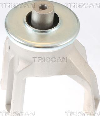 Triscan 8505 29187 - Подушка, опора, подвеска двигателя autodnr.net