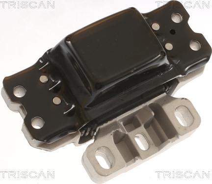 Triscan 8505 29189 - Подушка, опора, подвеска двигателя autodnr.net