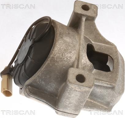 Triscan 8505 29196 - Подушка, підвіска двигуна autocars.com.ua