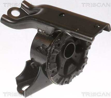 Triscan 8505 42100 - Подушка, підвіска двигуна autocars.com.ua