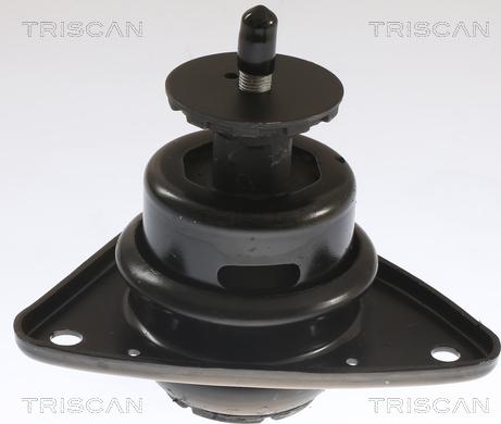 Triscan 8505 43101 - Подушка, підвіска двигуна autocars.com.ua