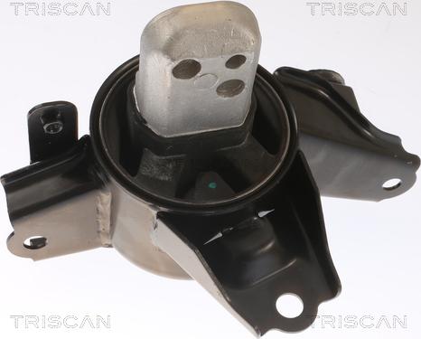 Triscan 8505 43107 - Подушка, підвіска двигуна autocars.com.ua