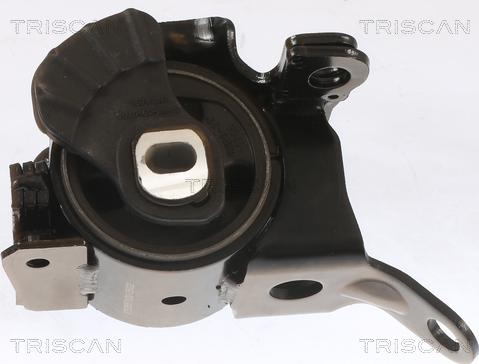Triscan 8505 50100 - Подушка, опора, подвеска двигателя autodnr.net