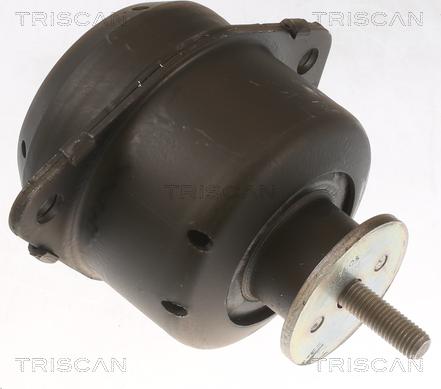 Triscan 8505 65103 - Подушка, опора, подвеска двигателя autodnr.net