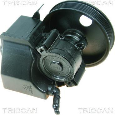 Triscan 8515 27608 - Гидравлический насос, рулевое управление, ГУР autodnr.net