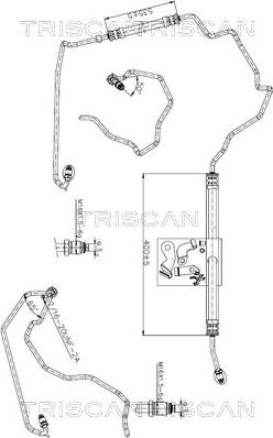 Triscan 8516 25006 - Гідравлічний шланг, рульове управління autocars.com.ua