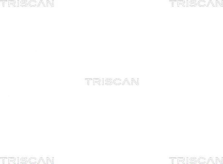 Triscan 8530 11104 - Комплект підшипника маточини колеса autocars.com.ua