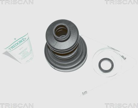 Triscan 8540 10801 - Пильник, приводний вал autocars.com.ua