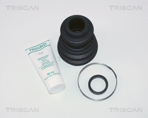 Triscan 8540 10806 - Пильник, приводний вал autocars.com.ua