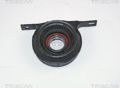 Triscan 8540 11306 - Подвеска, карданный вал autodnr.net