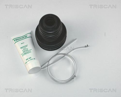 Triscan 8540 13901 - Пильник, приводний вал autocars.com.ua