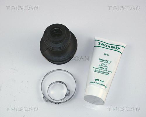 Triscan 8540 16705 - Пильник, приводний вал autocars.com.ua