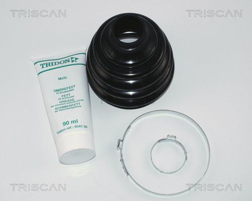 Triscan 8540 16802 - Пильник, приводний вал autocars.com.ua