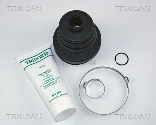 Triscan 8540 16901 - Пильник, приводний вал autocars.com.ua