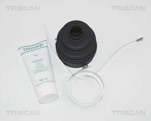 Triscan 8540 17802 - Пильник, приводний вал autocars.com.ua