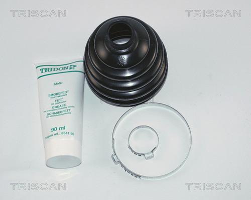 Triscan 8540 24805 - Пильник, приводний вал autocars.com.ua