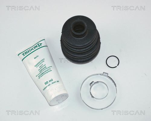 Triscan 8540 24902 - Пильник, приводний вал autocars.com.ua